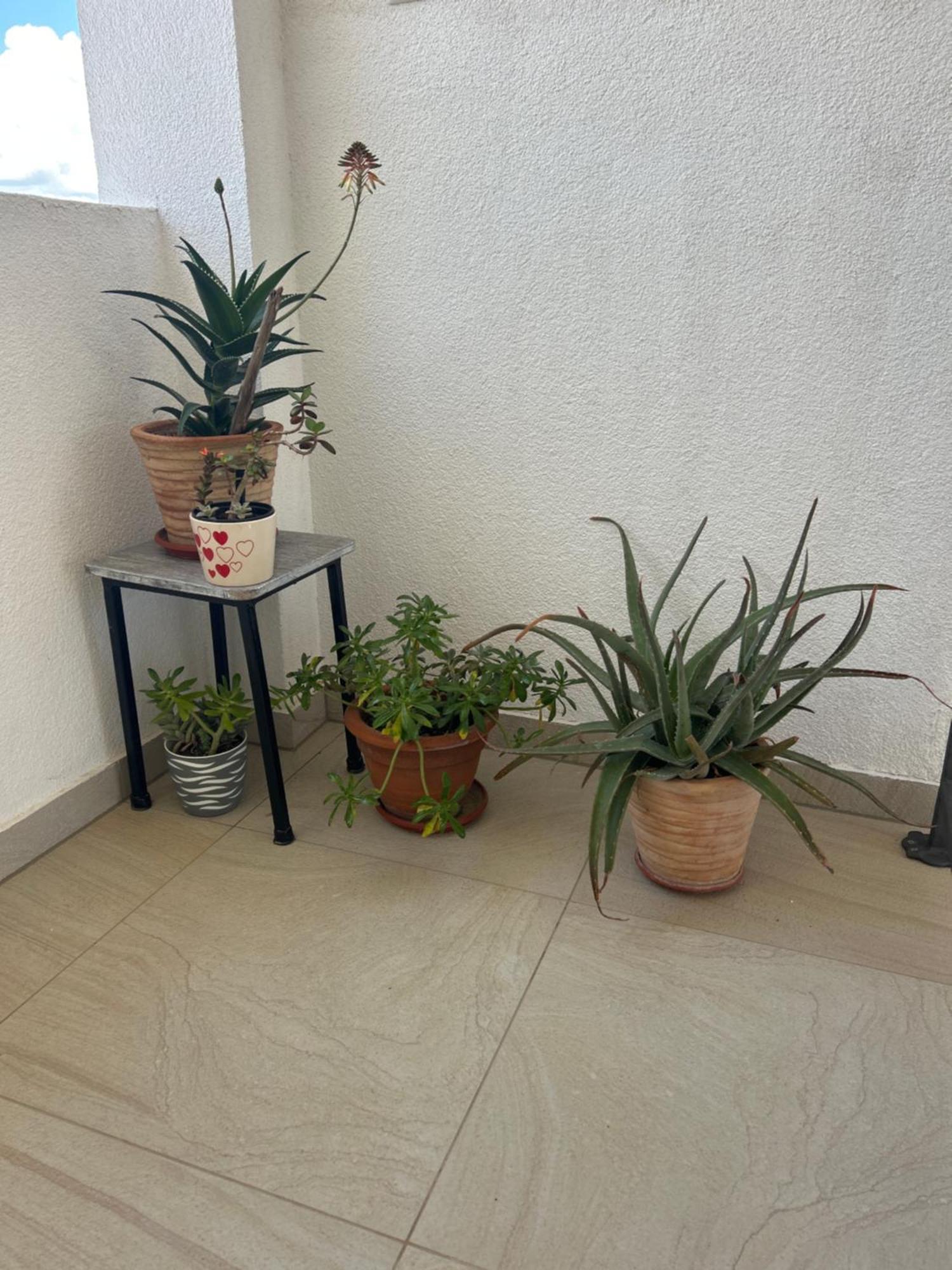 Apartments Purkovic Βόντιτσε Εξωτερικό φωτογραφία